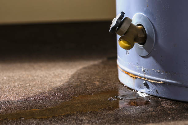 Best Water damage contractors near me  in Kingsland, GA
