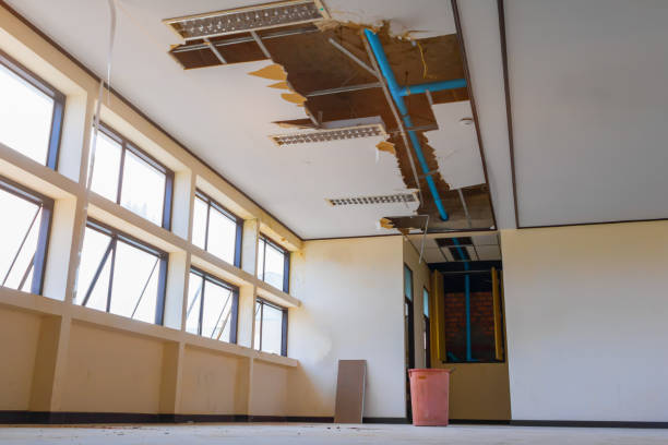 Best Basement water damage restoration  in Kingsland, GA