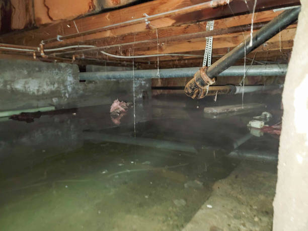 Best Residential water damage restoration  in Kingsland, GA
