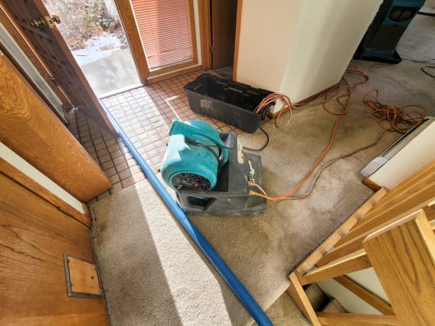 Water damage restoration experts in Kingsland, GA