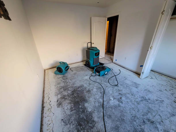 Best Fire Damage Restoration  in Kingsland, GA
