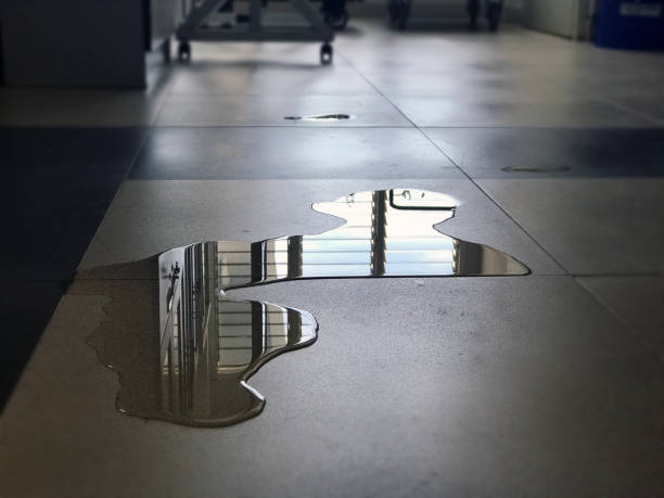 Best Water damage restoration near me  in Kingsland, GA