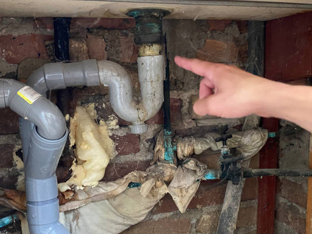 Best Water damage repair service  in Kingsland, GA