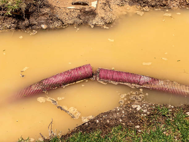Best 24-hour water damage restoration  in Kingsland, GA