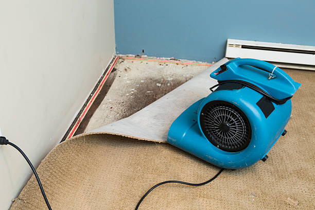 Best Carpet water damage restoration  in Kingsland, GA